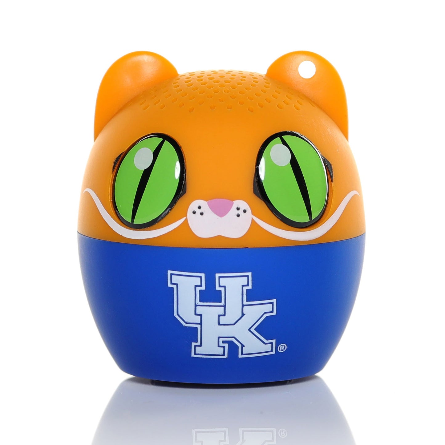 Kentucky Wildcats